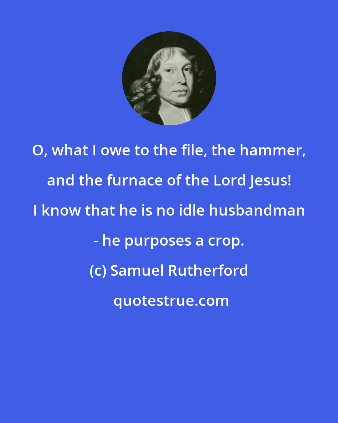 Samuel Rutherford: O, what I owe to the file, the hammer, and the furnace of the Lord Jesus! I know that he is no idle husbandman - he purposes a crop.