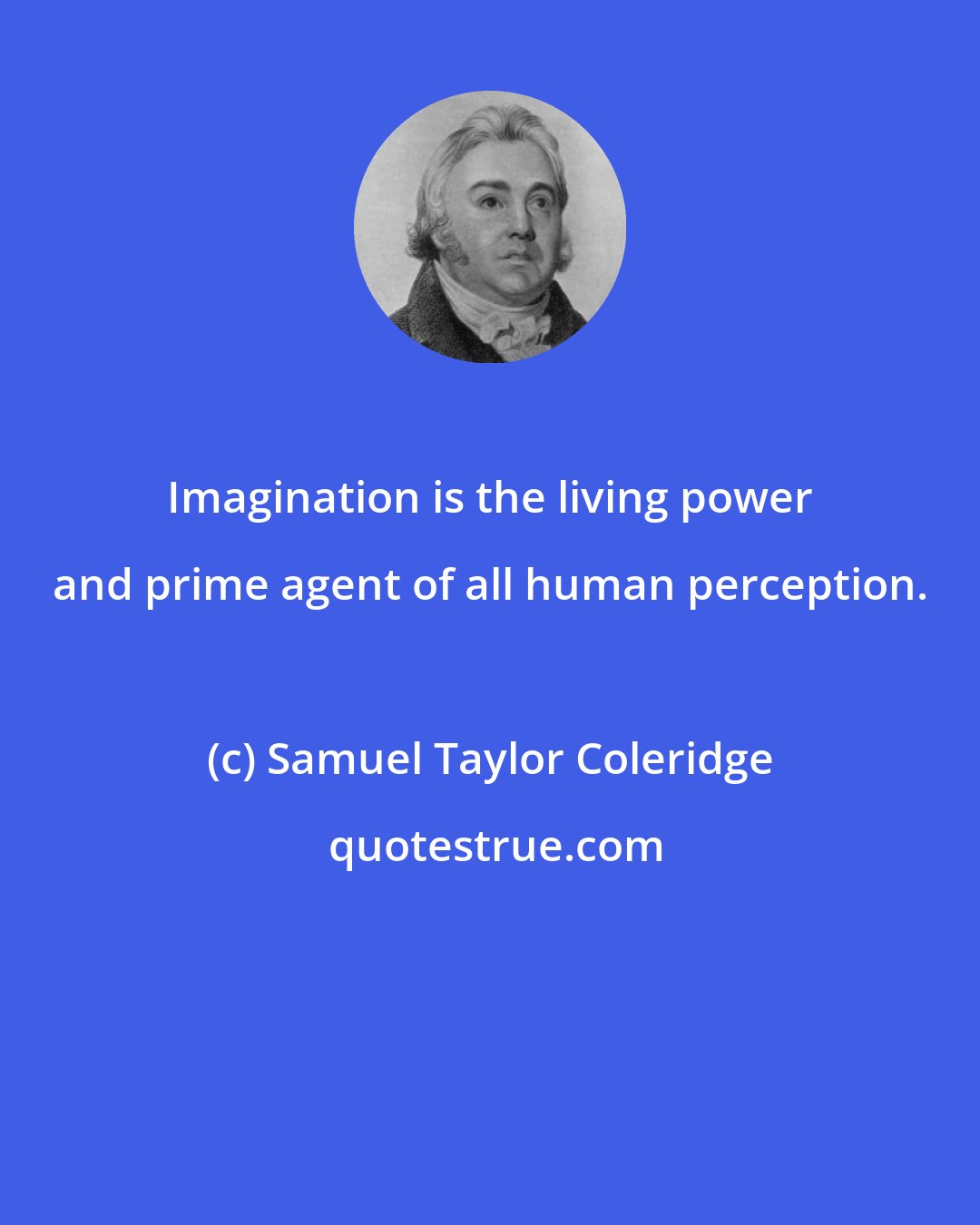 Samuel Taylor Coleridge: Imagination is the living power and prime agent of all human perception.