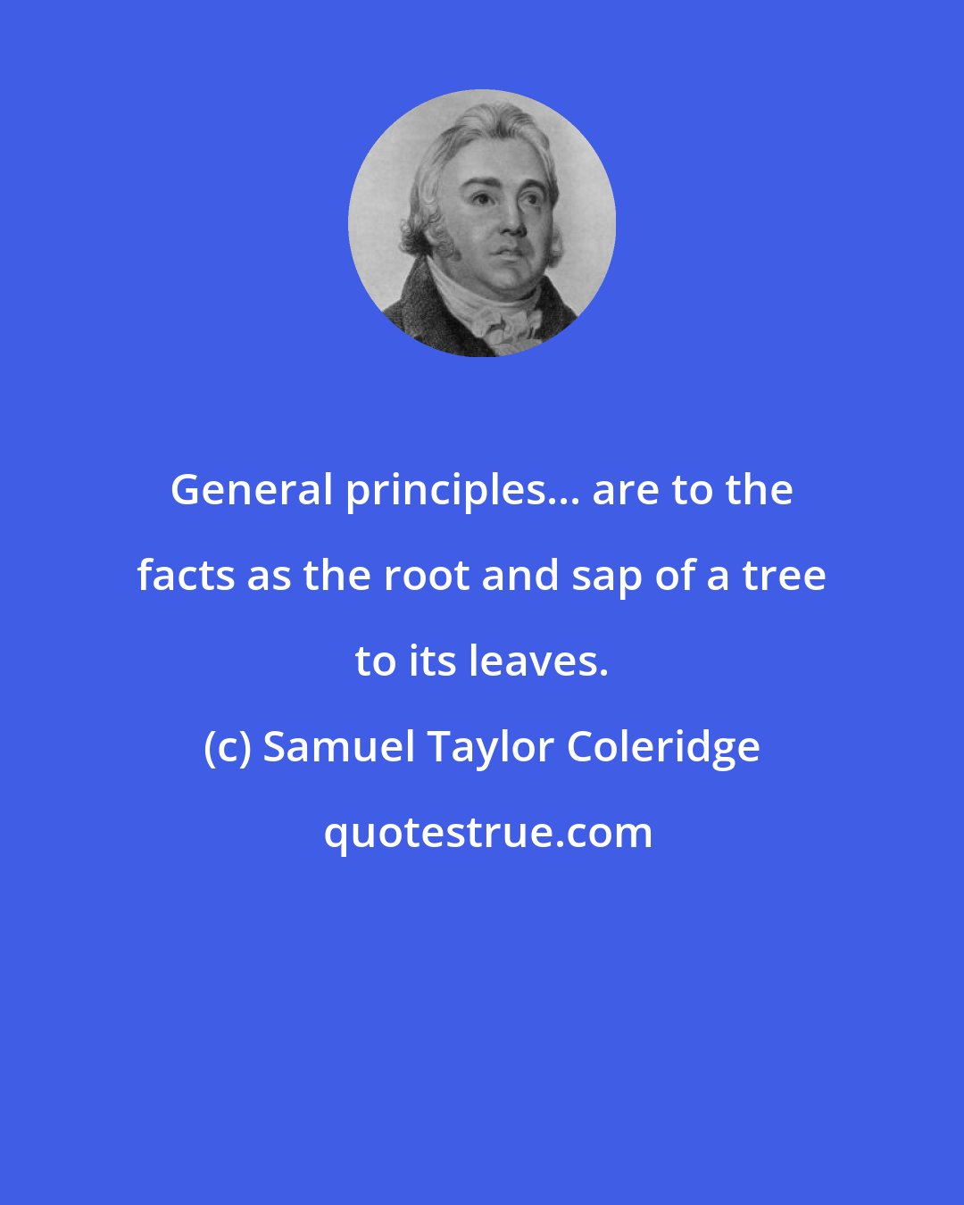 Samuel Taylor Coleridge: General principles... are to the facts as the root and sap of a tree to its leaves.