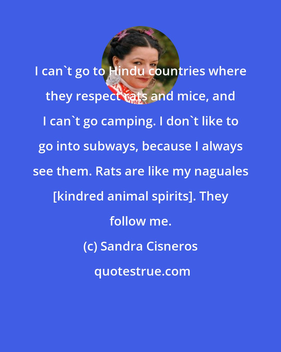 Sandra Cisneros: I can't go to Hindu countries where they respect rats and mice, and I can't go camping. I don't like to go into subways, because I always see them. Rats are like my naguales [kindred animal spirits]. They follow me.