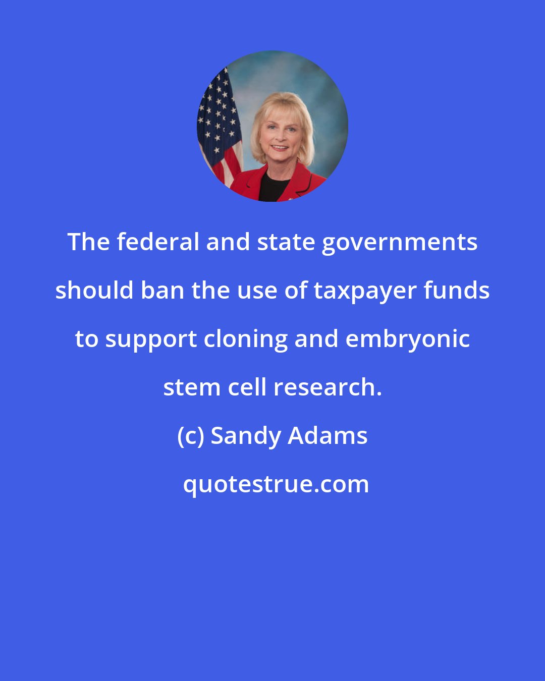 Sandy Adams: The federal and state governments should ban the use of taxpayer funds to support cloning and embryonic stem cell research.