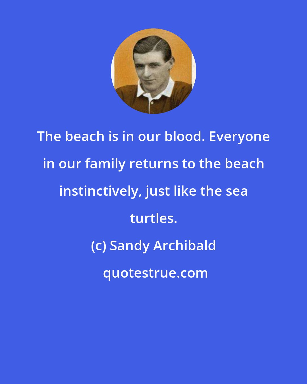 Sandy Archibald: The beach is in our blood. Everyone in our family returns to the beach instinctively, just like the sea turtles.