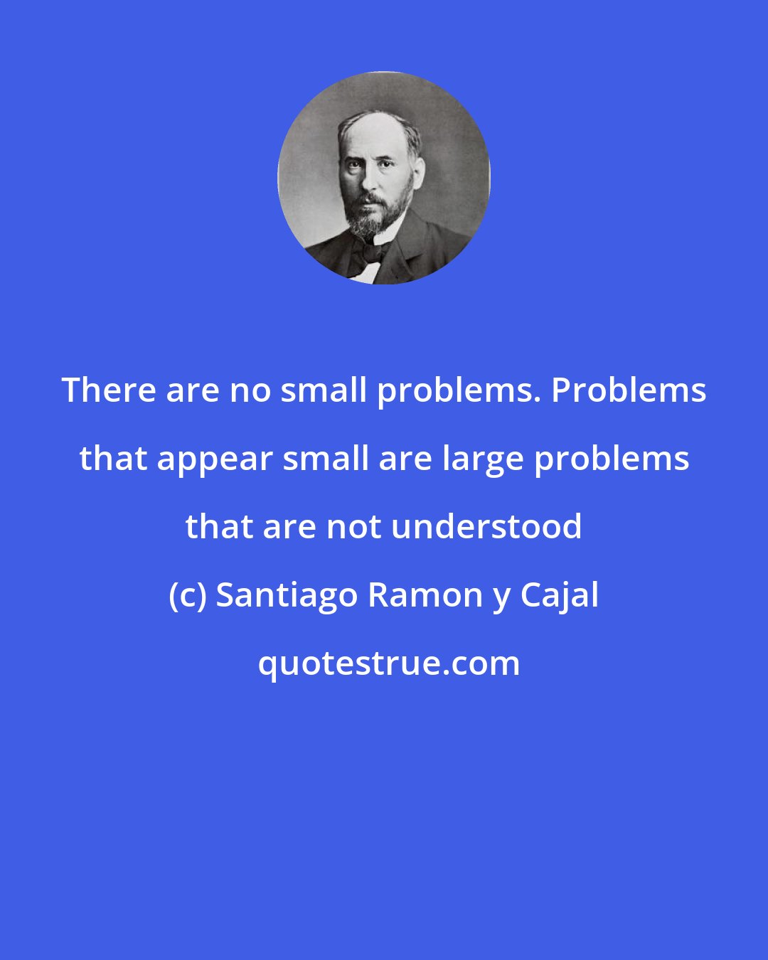 Santiago Ramon y Cajal: There are no small problems. Problems that appear small are large problems that are not understood