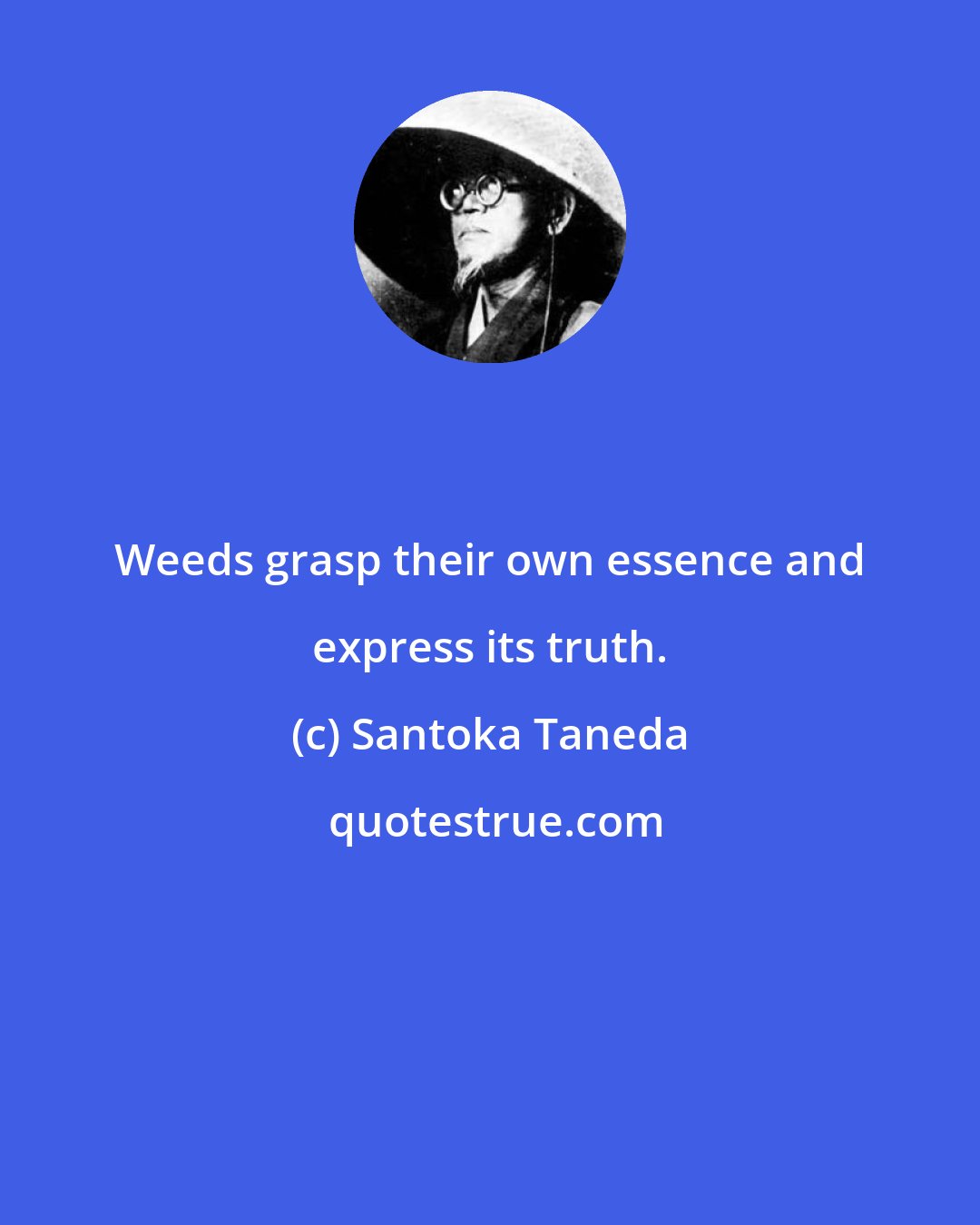 Santoka Taneda: Weeds grasp their own essence and express its truth.
