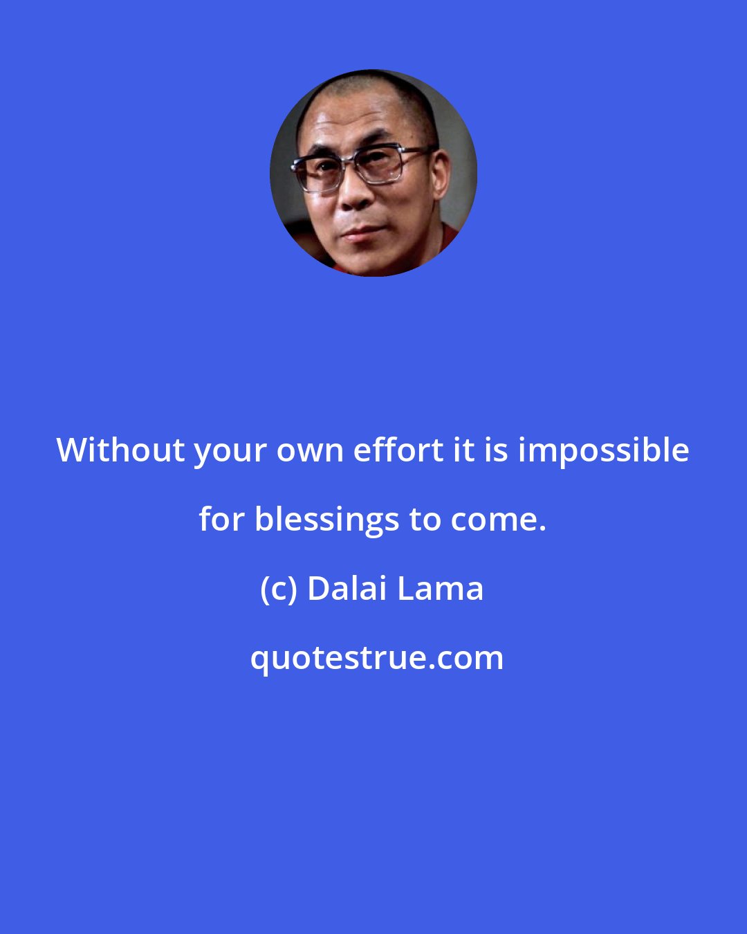 Dalai Lama: Without your own effort it is impossible for blessings to come.