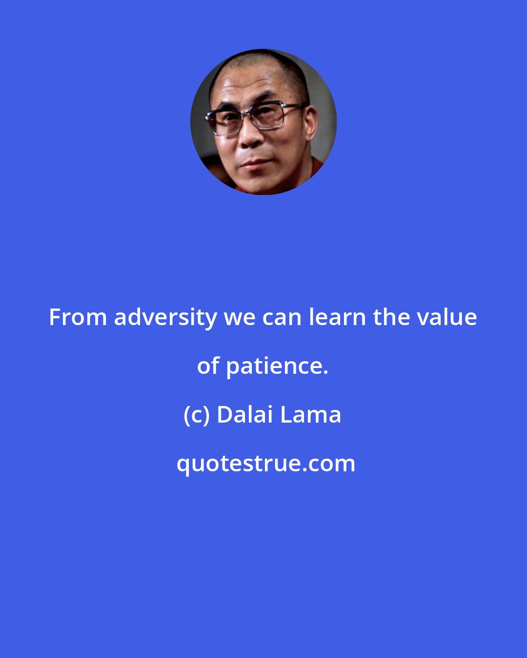 Dalai Lama: From adversity we can learn the value of patience.