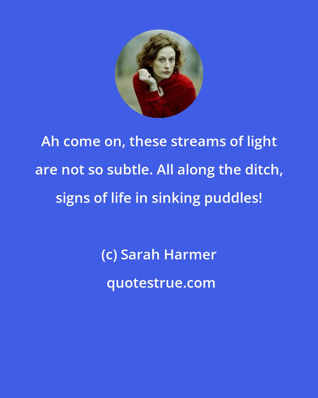 Sarah Harmer: Ah come on, these streams of light are not so subtle. All along the ditch, signs of life in sinking puddles!