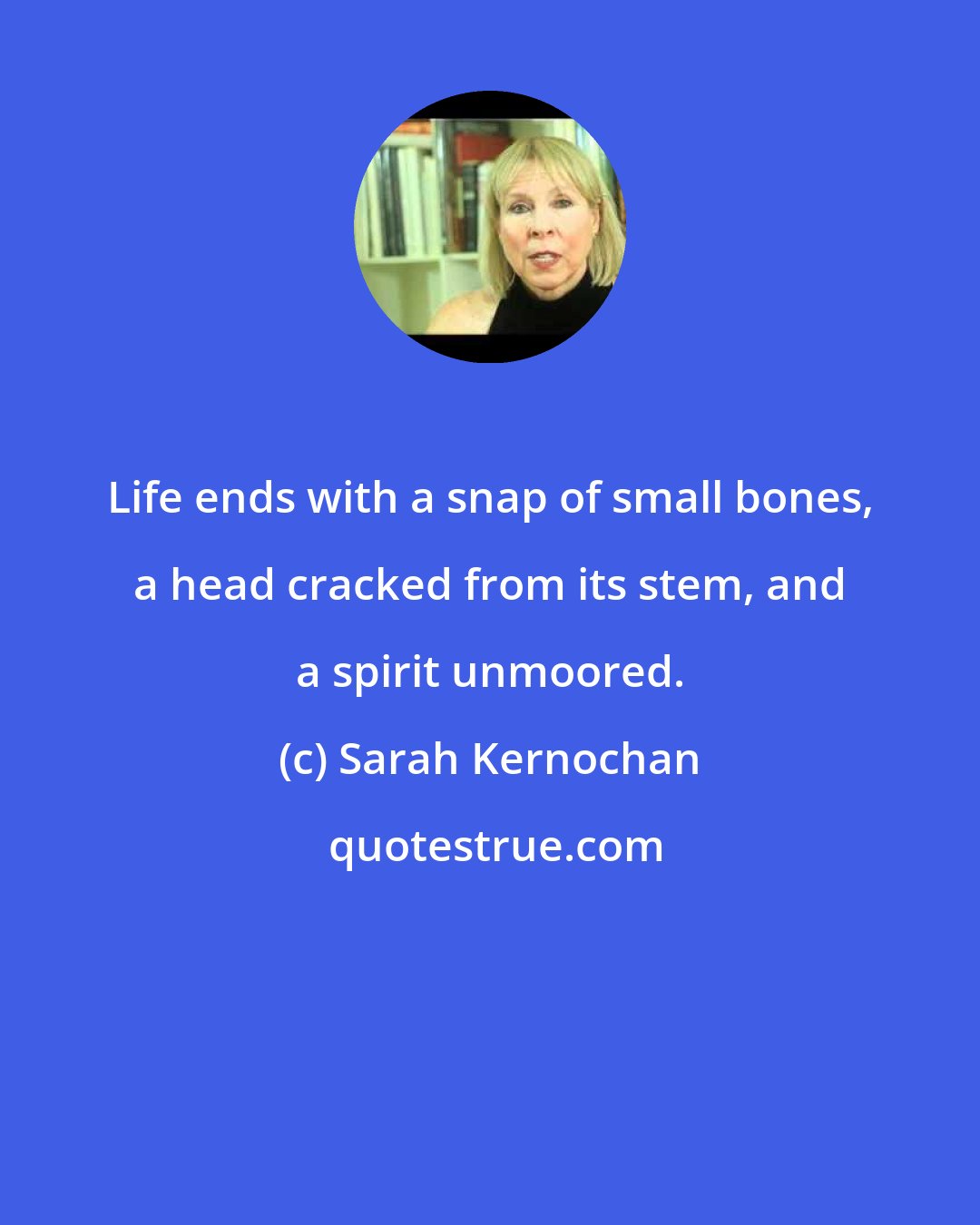 Sarah Kernochan: Life ends with a snap of small bones, a head cracked from its stem, and a spirit unmoored.