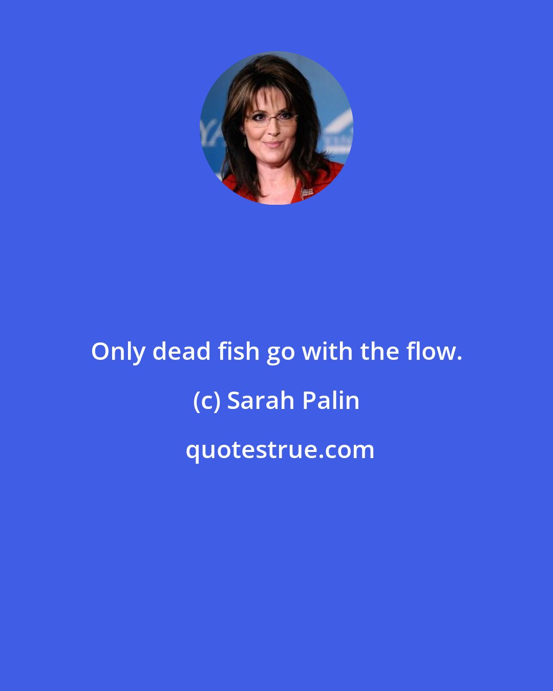 Sarah Palin: Only dead fish go with the flow.