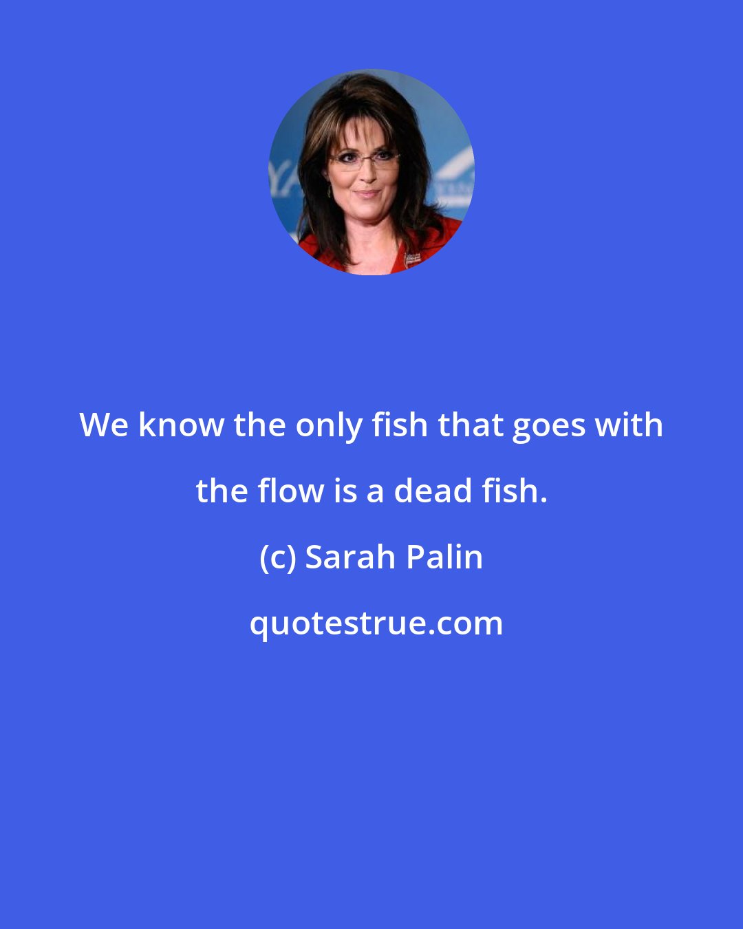 Sarah Palin: We know the only fish that goes with the flow is a dead fish.