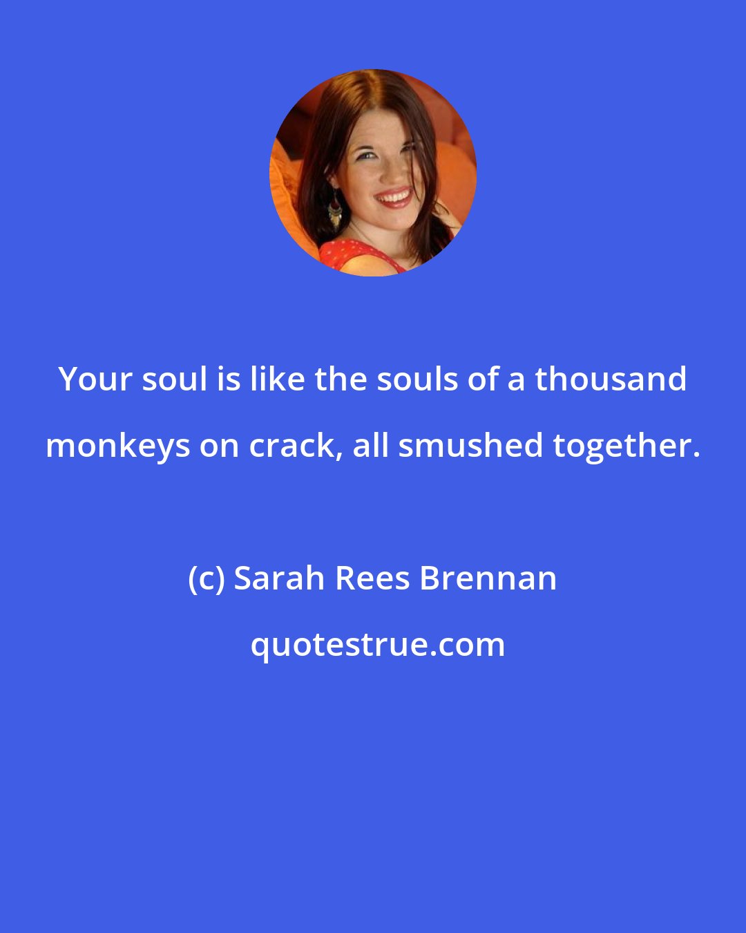 Sarah Rees Brennan: Your soul is like the souls of a thousand monkeys on crack, all smushed together.