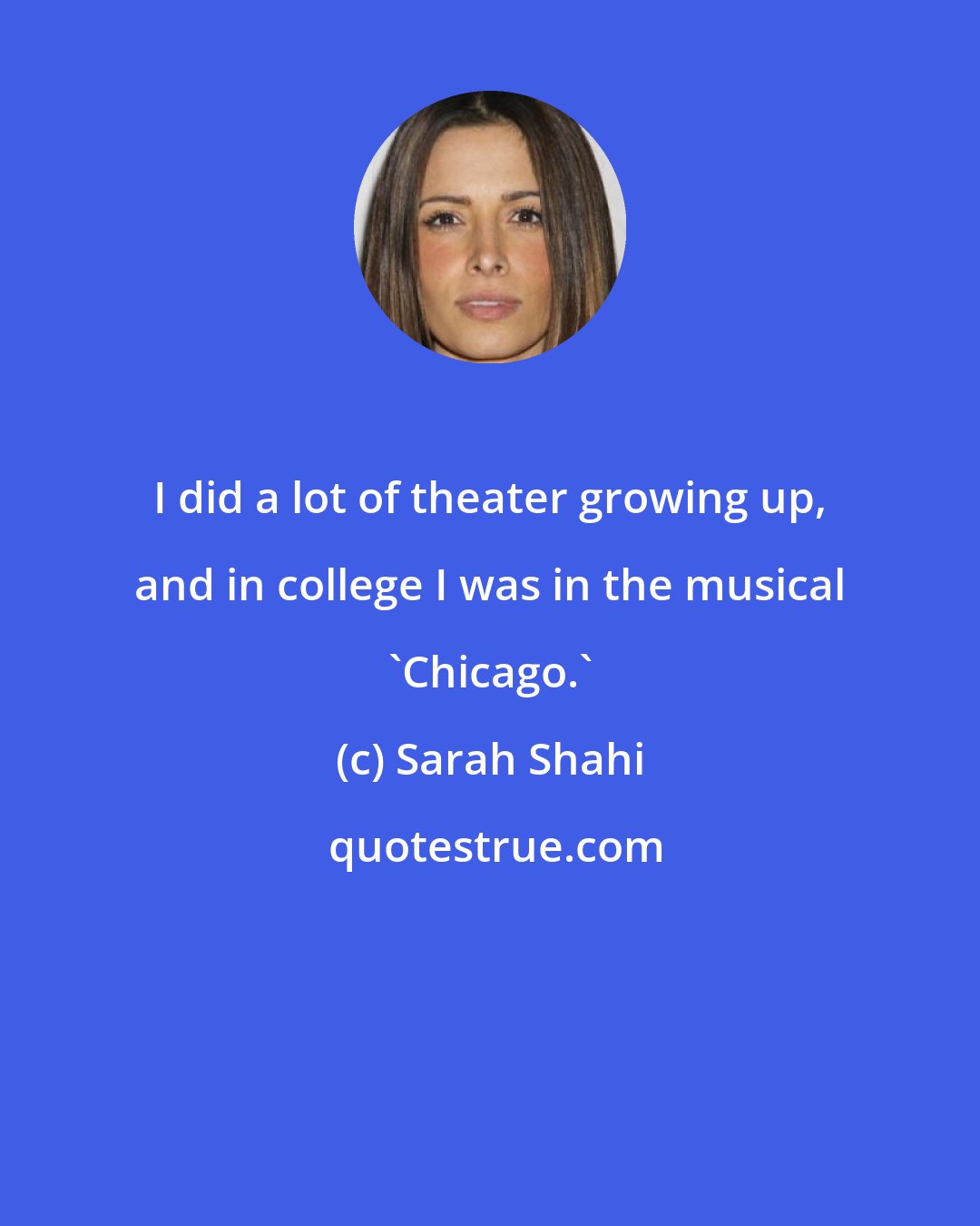 Sarah Shahi: I did a lot of theater growing up, and in college I was in the musical 'Chicago.'