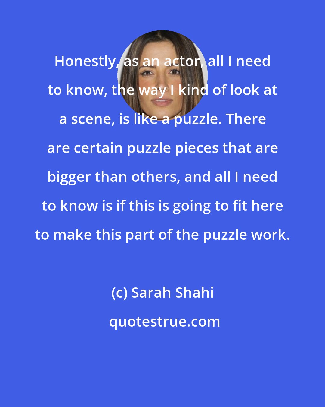 Sarah Shahi: Honestly, as an actor, all I need to know, the way I kind of look at a scene, is like a puzzle. There are certain puzzle pieces that are bigger than others, and all I need to know is if this is going to fit here to make this part of the puzzle work.