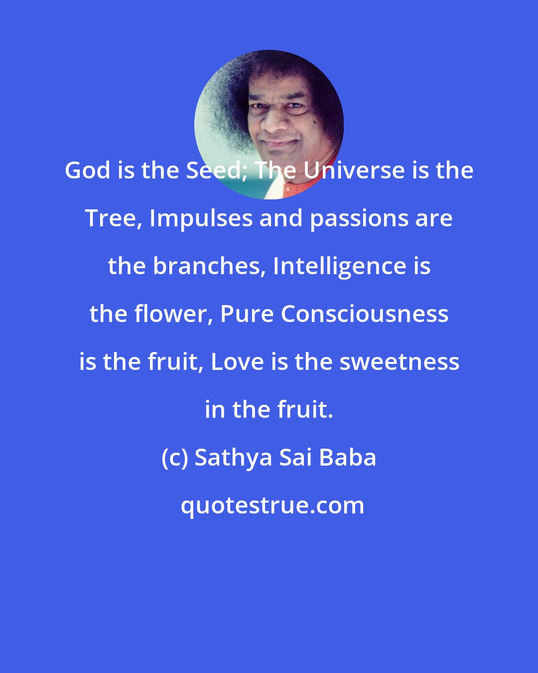 Sathya Sai Baba: God is the Seed; The Universe is the Tree, Impulses and passions are the branches, Intelligence is the flower, Pure Consciousness is the fruit, Love is the sweetness in the fruit.