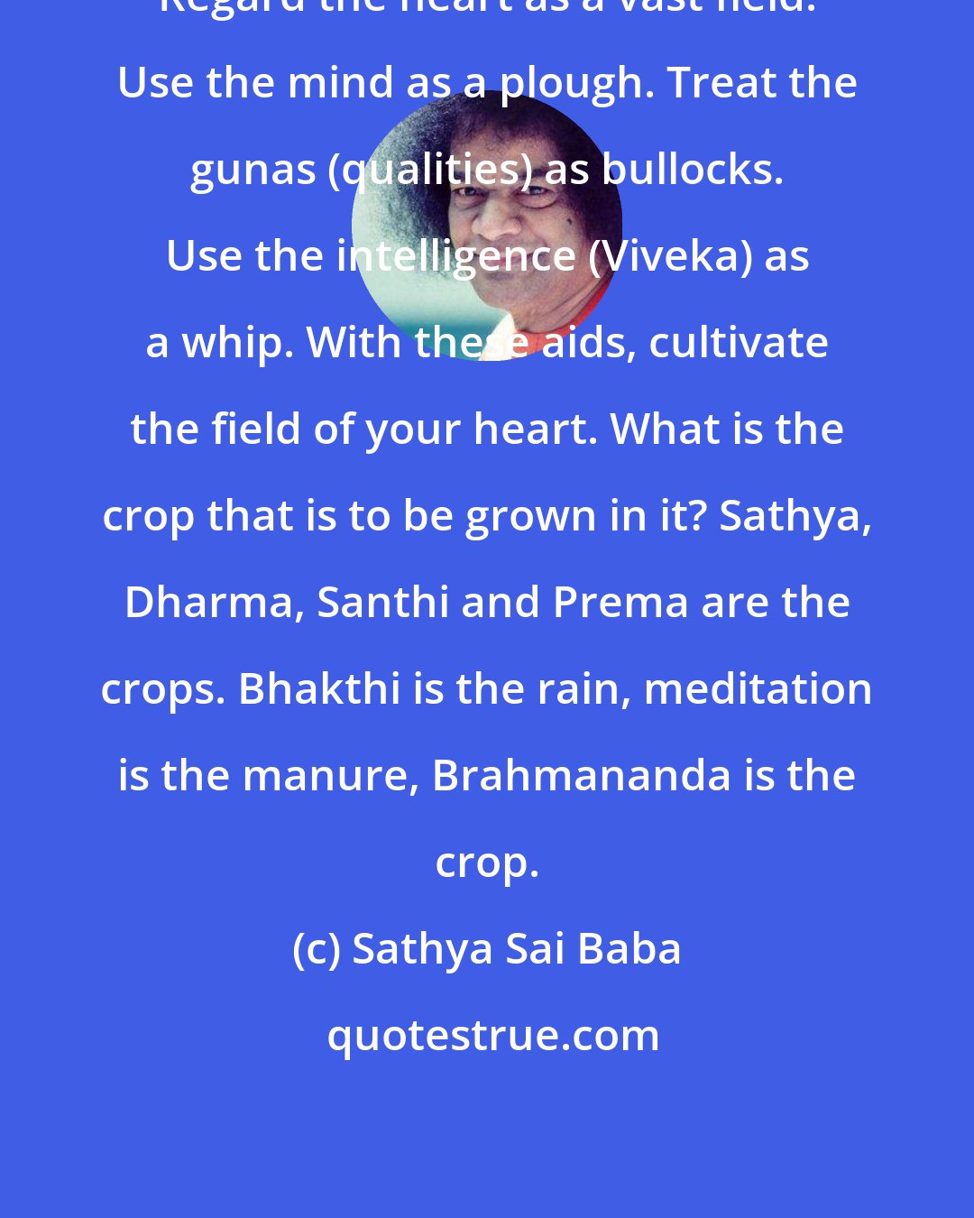 Sathya Sai Baba: Regard the heart as a vast field. Use the mind as a plough. Treat the gunas (qualities) as bullocks. Use the intelligence (Viveka) as a whip. With these aids, cultivate the field of your heart. What is the crop that is to be grown in it? Sathya, Dharma, Santhi and Prema are the crops. Bhakthi is the rain, meditation is the manure, Brahmananda is the crop.