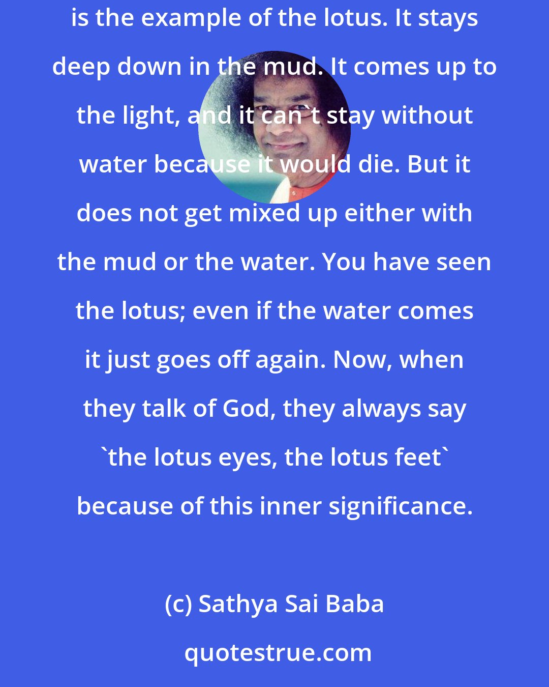 Sathya Sai Baba: You can remain in the world for any number of years, but don't let the world take hold. Don't let the world take hold of the inside world. There is the example of the lotus. It stays deep down in the mud. It comes up to the light, and it can't stay without water because it would die. But it does not get mixed up either with the mud or the water. You have seen the lotus; even if the water comes it just goes off again. Now, when they talk of God, they always say 'the lotus eyes, the lotus feet' because of this inner significance.