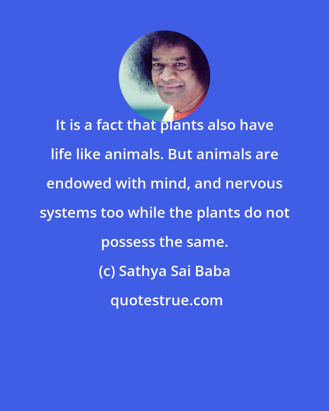 Sathya Sai Baba: It is a fact that plants also have life like animals. But animals are endowed with mind, and nervous systems too while the plants do not possess the same.