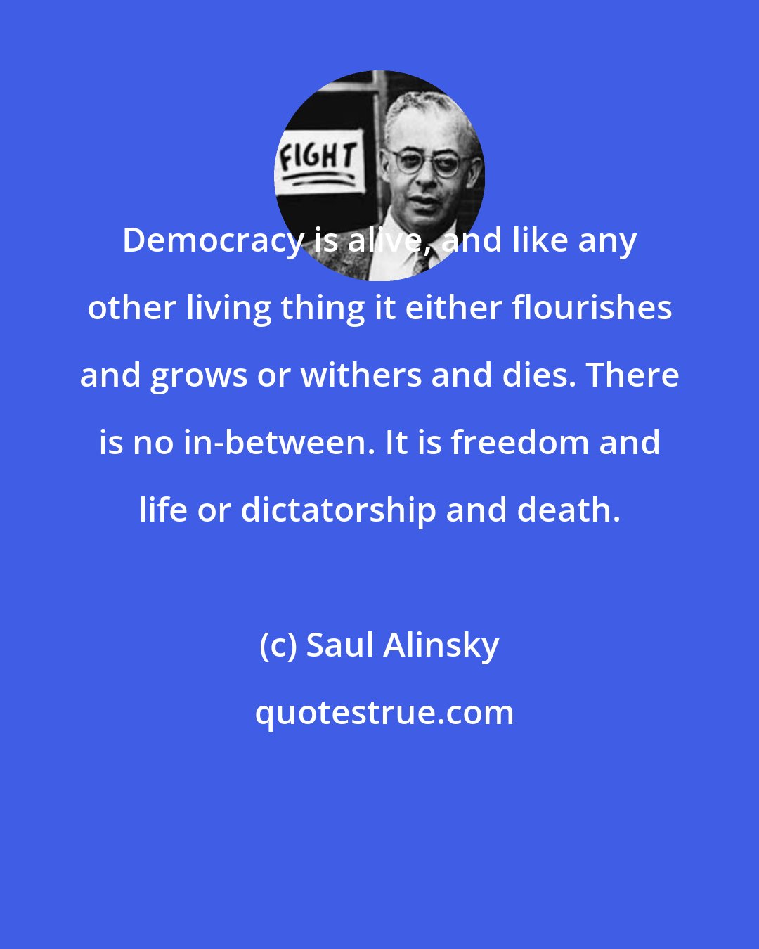 Saul Alinsky: Democracy is alive, and like any other living thing it either flourishes and grows or withers and dies. There is no in-between. It is freedom and life or dictatorship and death.