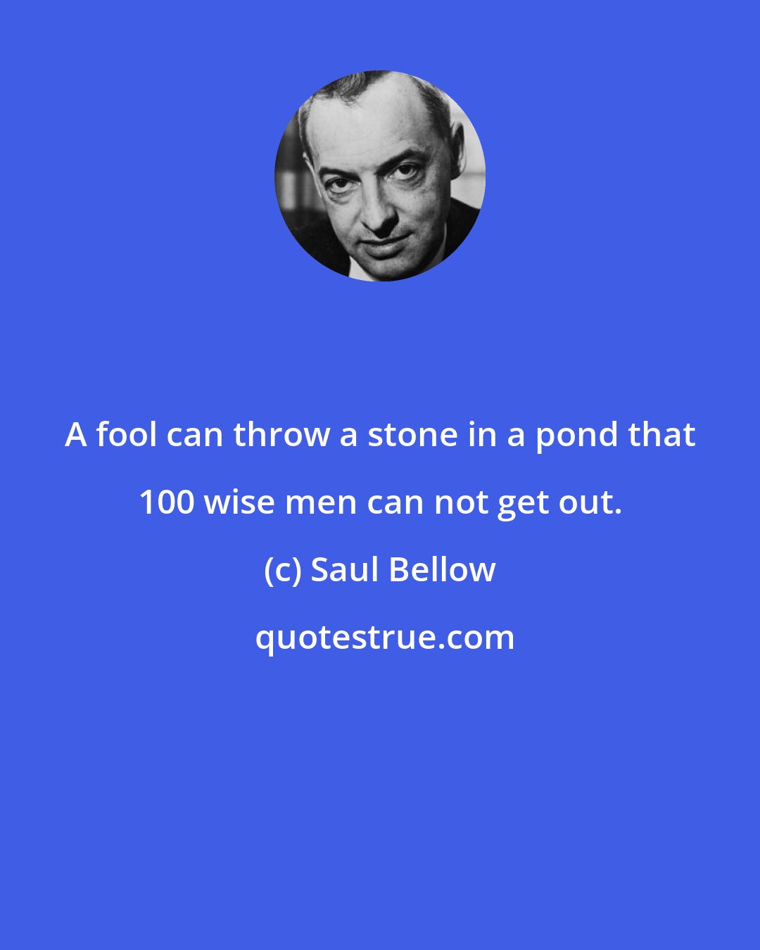 Saul Bellow: A fool can throw a stone in a pond that 100 wise men can not get out.