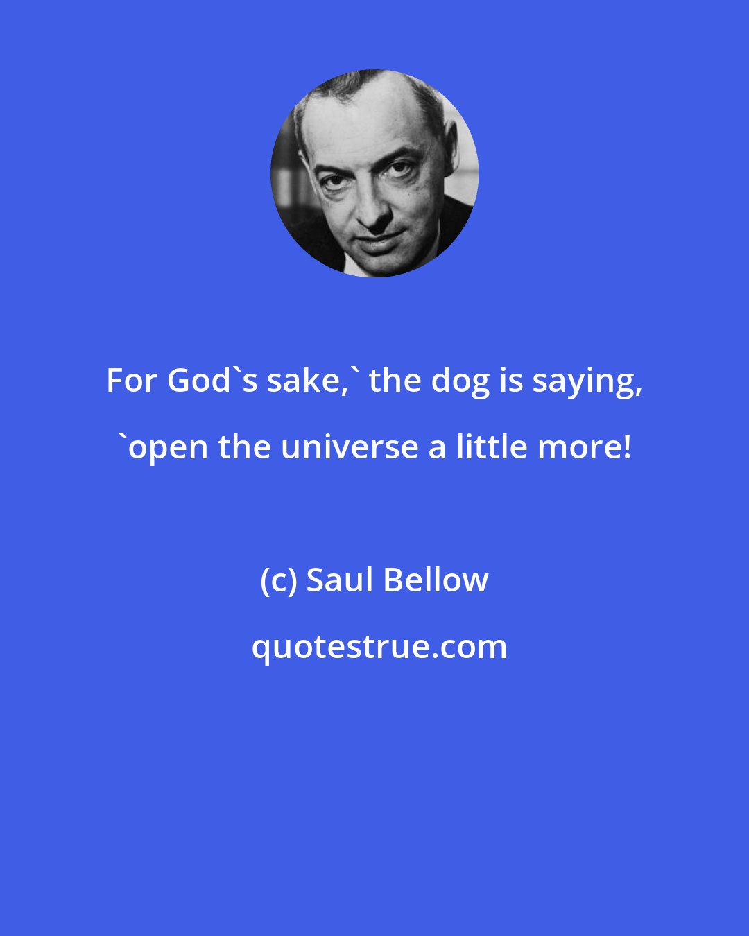 Saul Bellow: For God's sake,' the dog is saying, 'open the universe a little more!