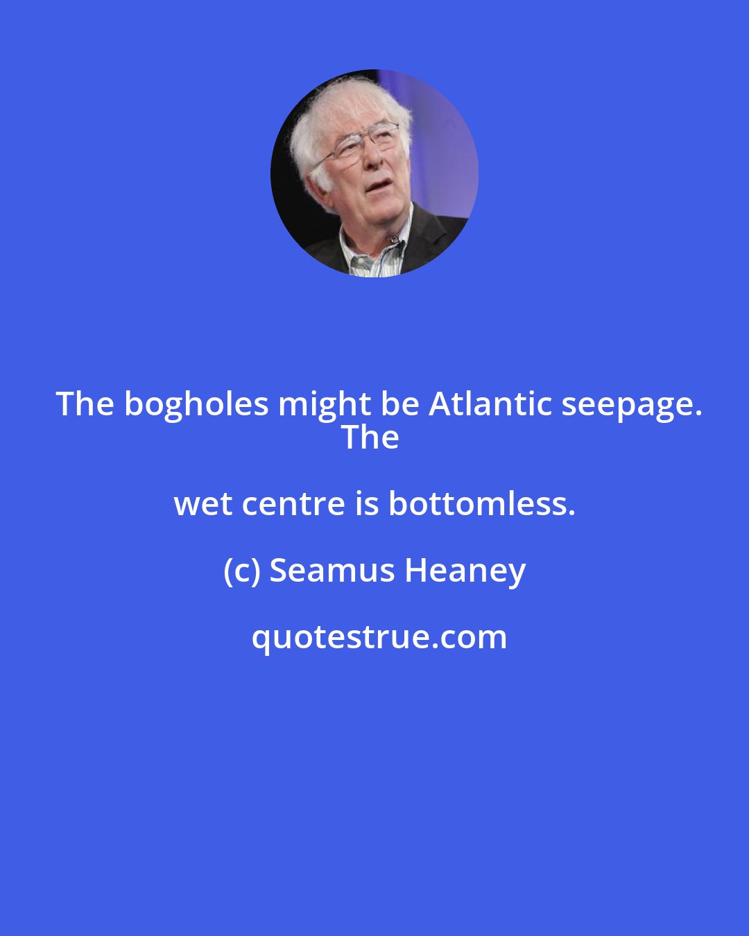 Seamus Heaney: The bogholes might be Atlantic seepage.
The wet centre is bottomless.