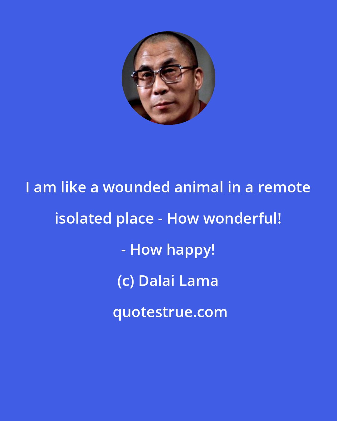 Dalai Lama: I am like a wounded animal in a remote isolated place - How wonderful! - How happy!