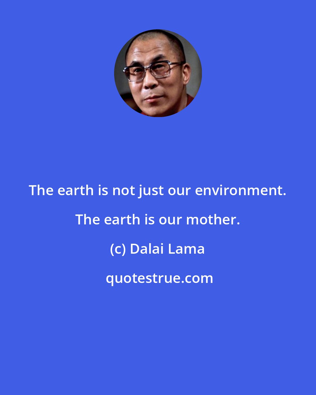 Dalai Lama: The earth is not just our environment. The earth is our mother.