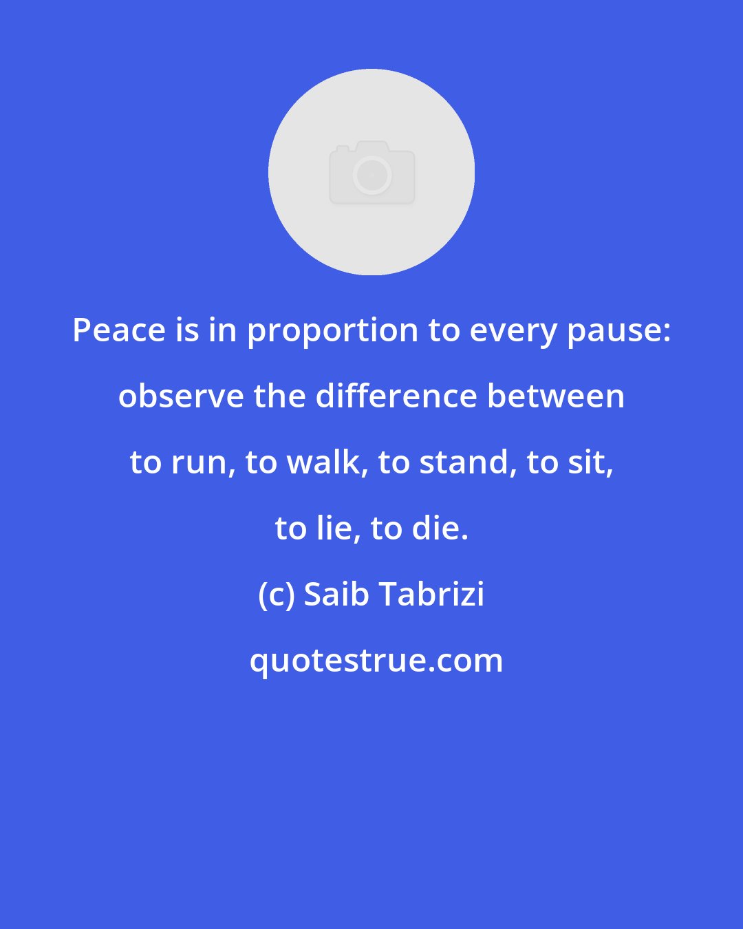 Saib Tabrizi: Peace is in proportion to every pause: observe the difference between to run, to walk, to stand, to sit, to lie, to die.