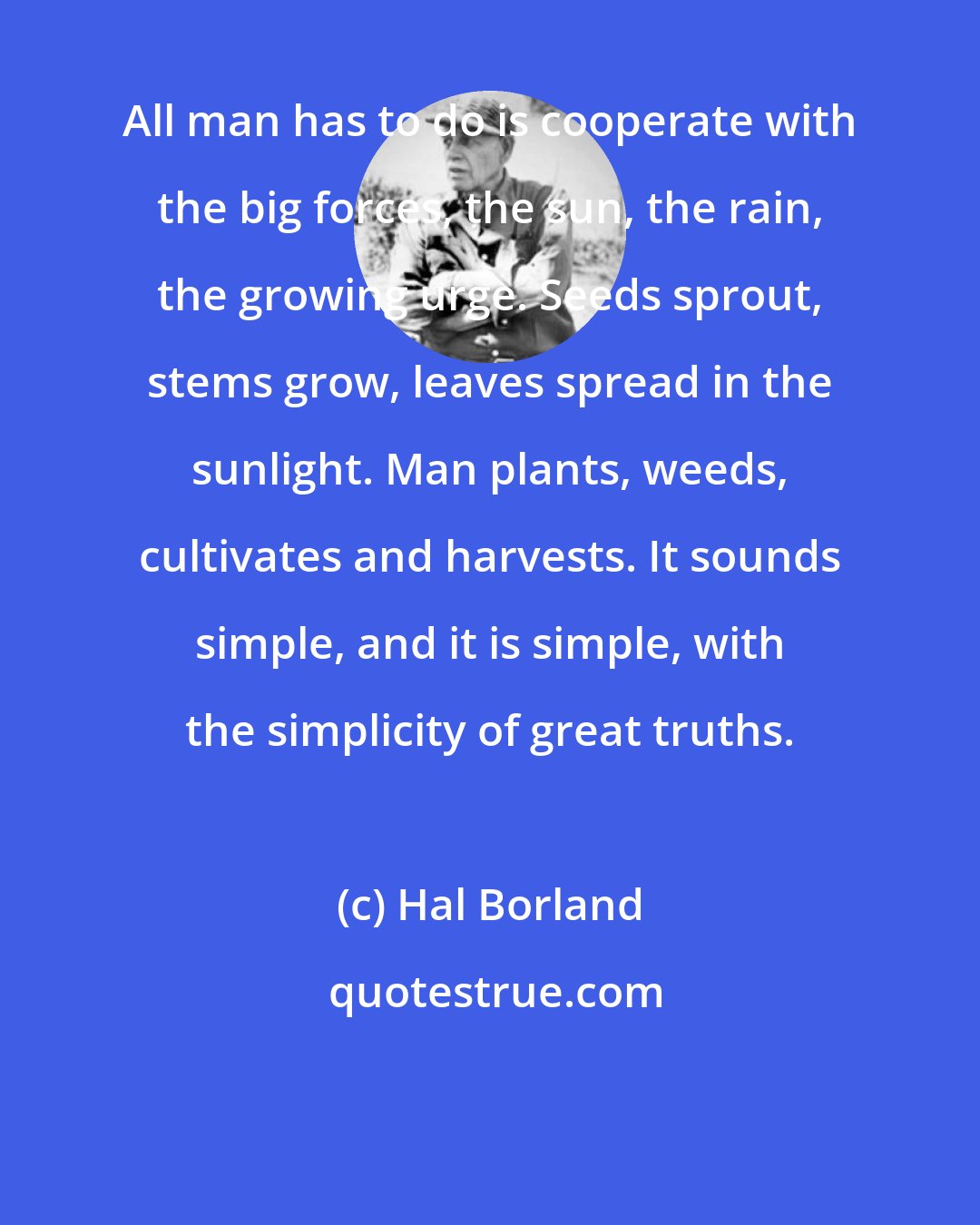 Hal Borland: All man has to do is cooperate with the big forces, the sun, the rain, the growing urge. Seeds sprout, stems grow, leaves spread in the sunlight. Man plants, weeds, cultivates and harvests. It sounds simple, and it is simple, with the simplicity of great truths.