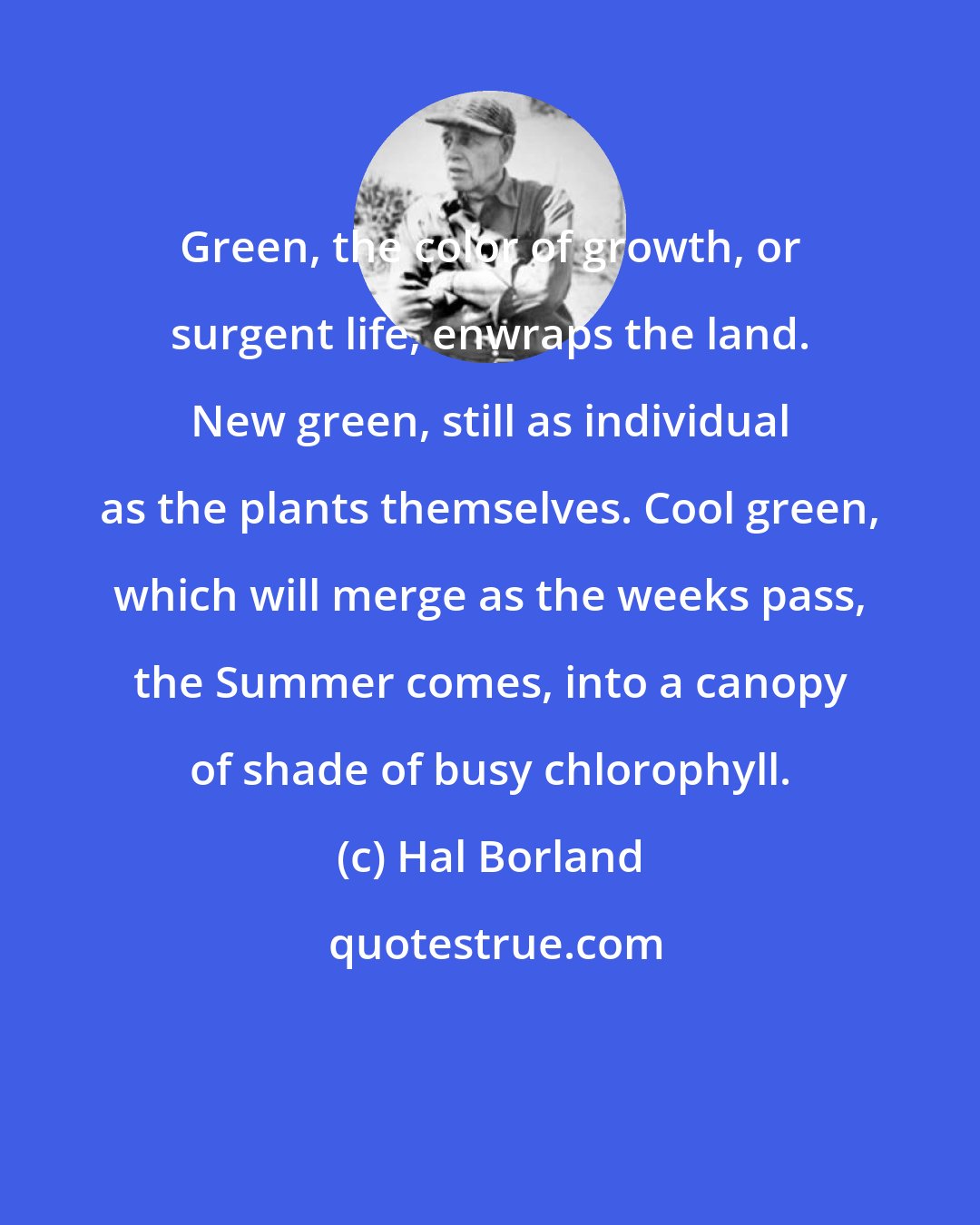 Hal Borland: Green, the color of growth, or surgent life, enwraps the land. New green, still as individual as the plants themselves. Cool green, which will merge as the weeks pass, the Summer comes, into a canopy of shade of busy chlorophyll.