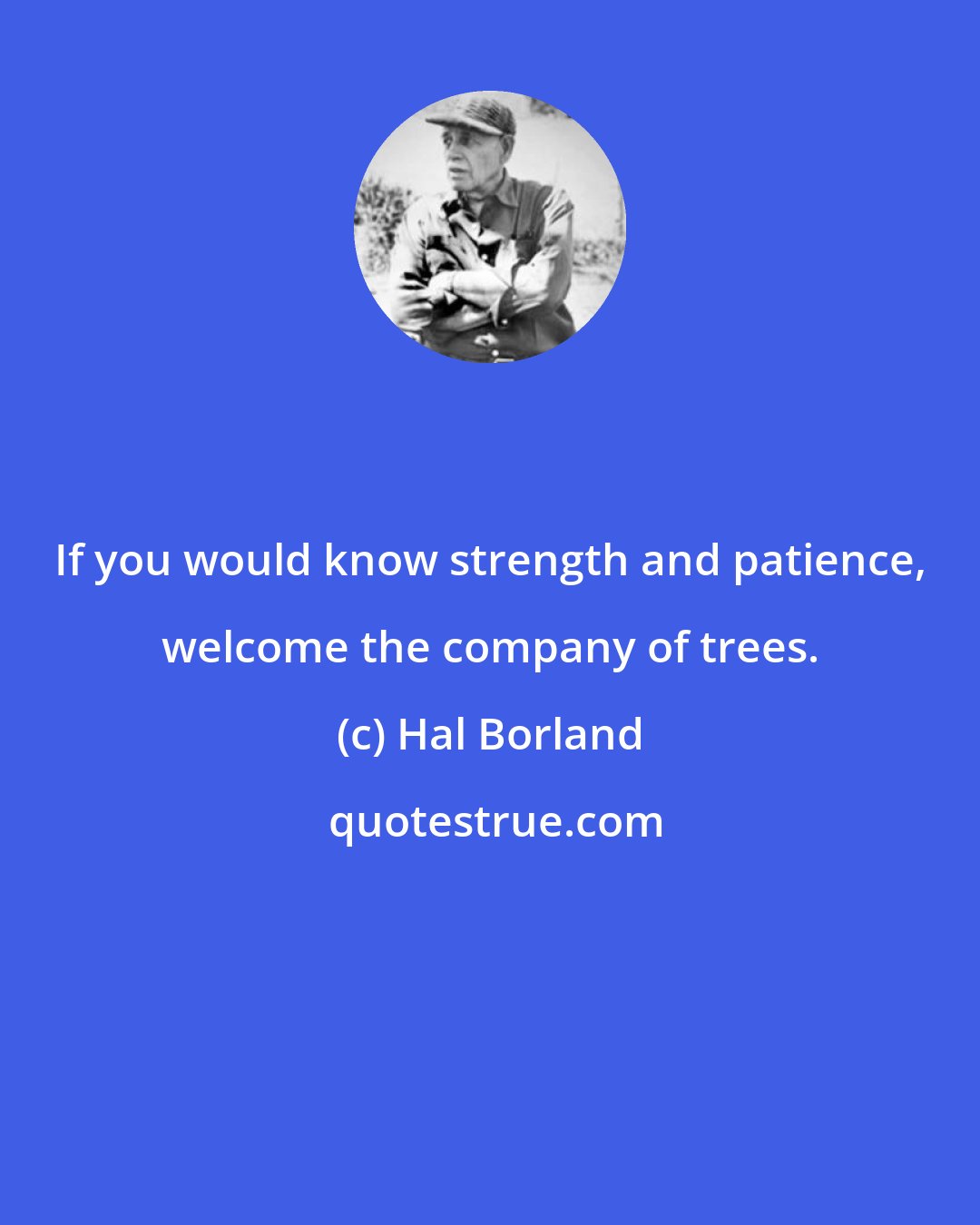 Hal Borland: If you would know strength and patience, welcome the company of trees.