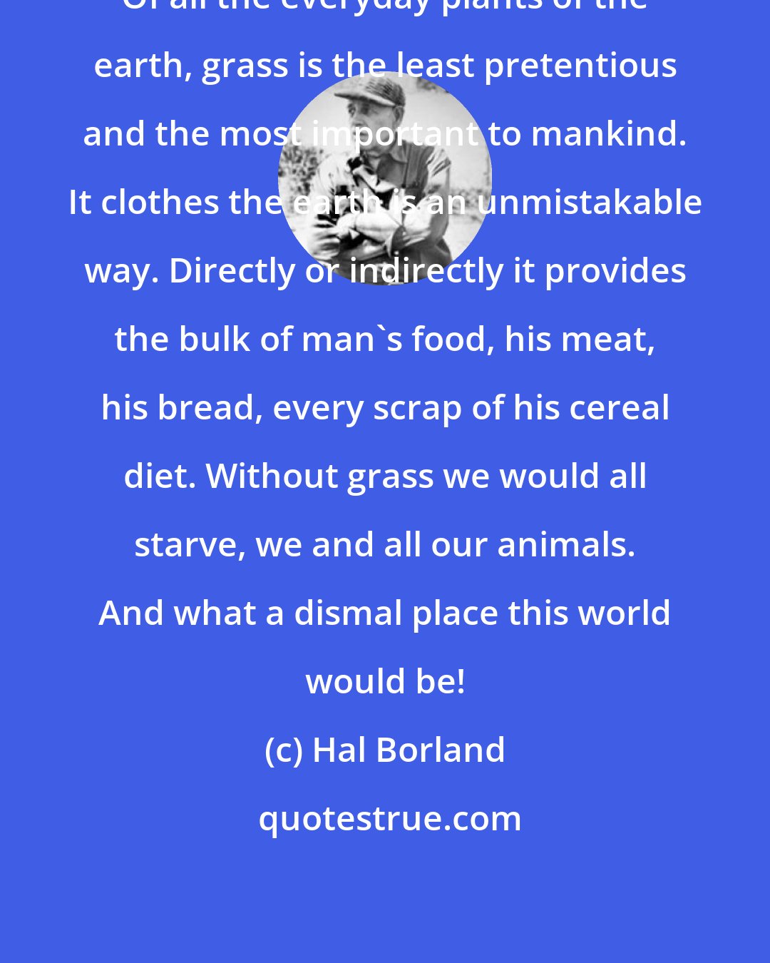 Hal Borland: Of all the everyday plants of the earth, grass is the least pretentious and the most important to mankind. It clothes the earth is an unmistakable way. Directly or indirectly it provides the bulk of man's food, his meat, his bread, every scrap of his cereal diet. Without grass we would all starve, we and all our animals. And what a dismal place this world would be!