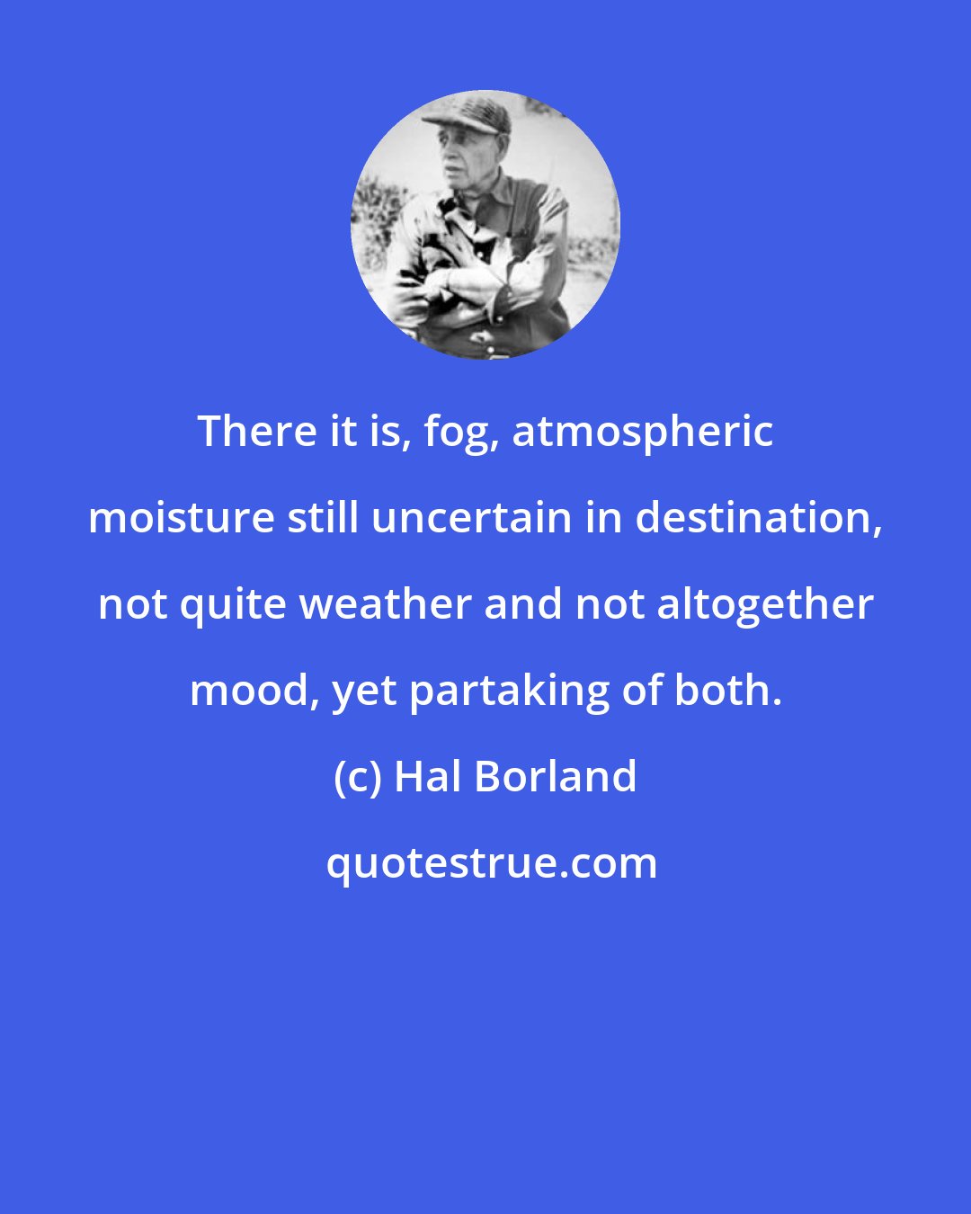 Hal Borland: There it is, fog, atmospheric moisture still uncertain in destination, not quite weather and not altogether mood, yet partaking of both.