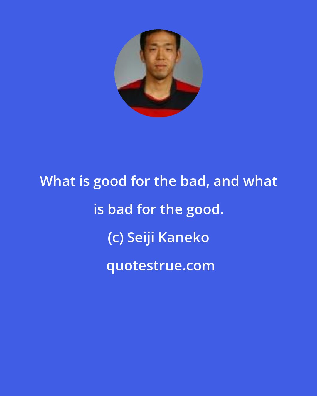 Seiji Kaneko: What is good for the bad, and what is bad for the good.