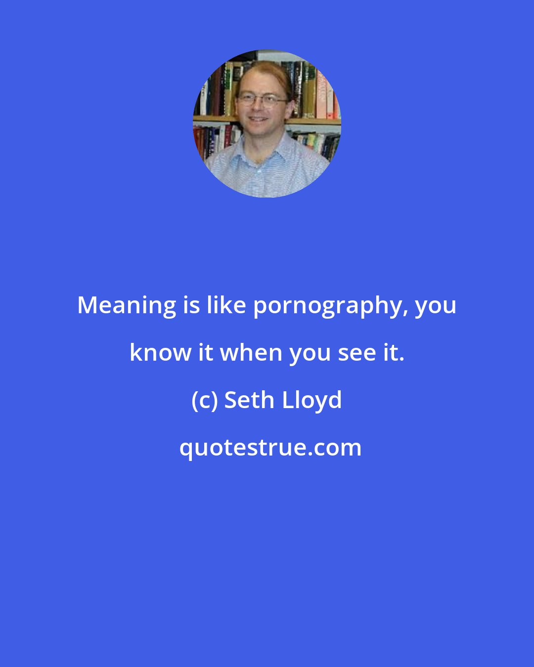 Seth Lloyd: Meaning is like pornography, you know it when you see it.