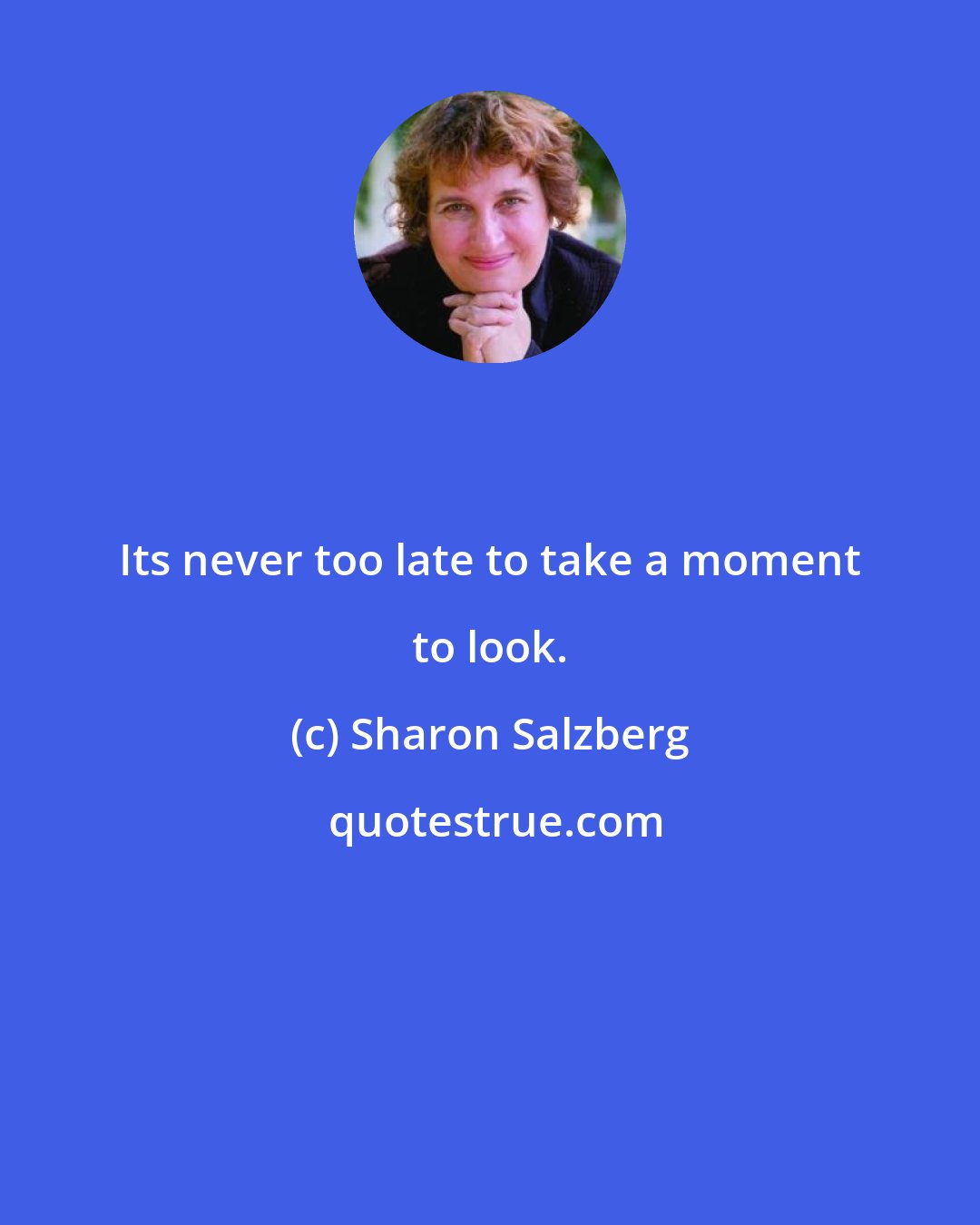 Sharon Salzberg: Its never too late to take a moment to look.