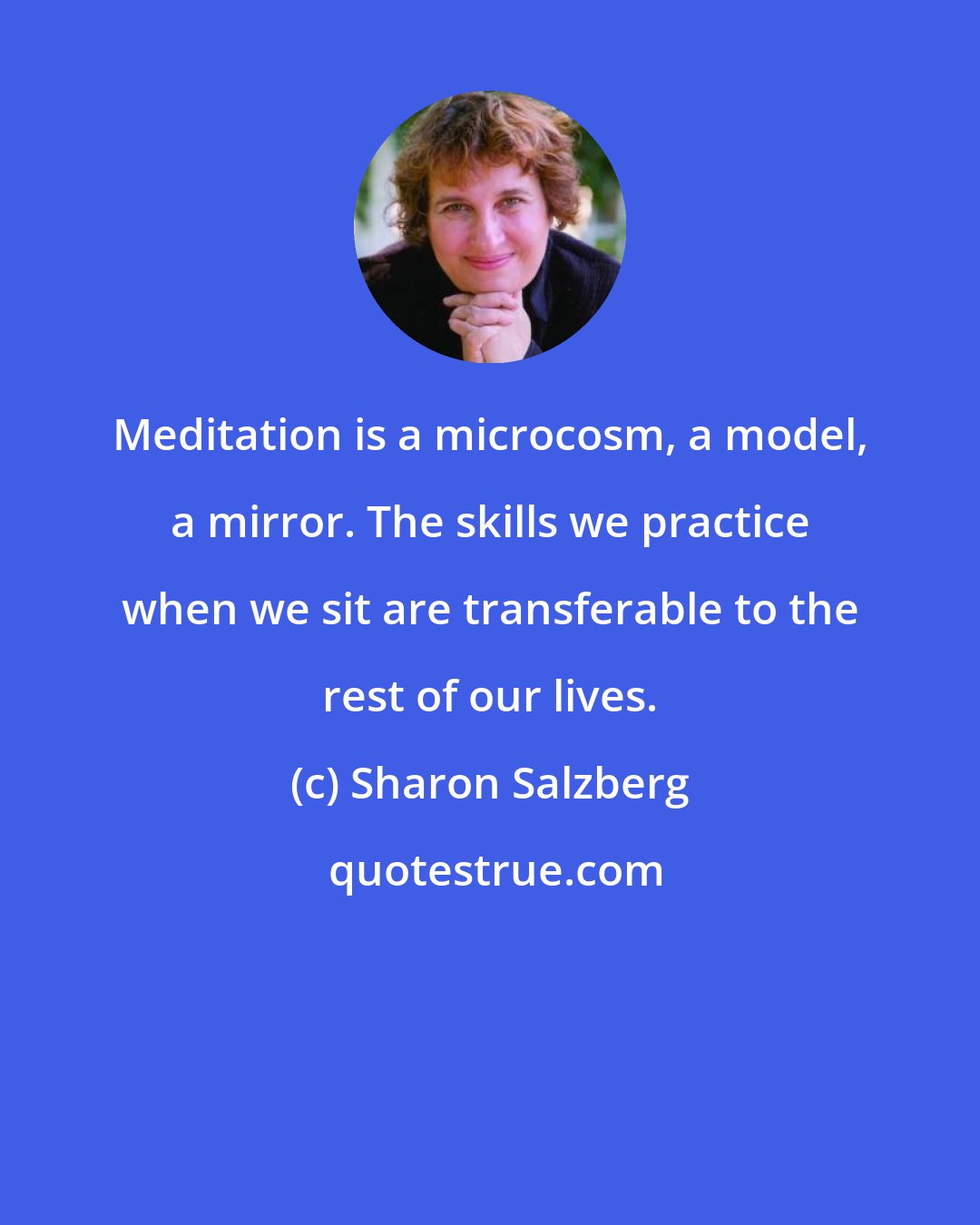 Sharon Salzberg: Meditation is a microcosm, a model, a mirror. The skills we practice when we sit are transferable to the rest of our lives.