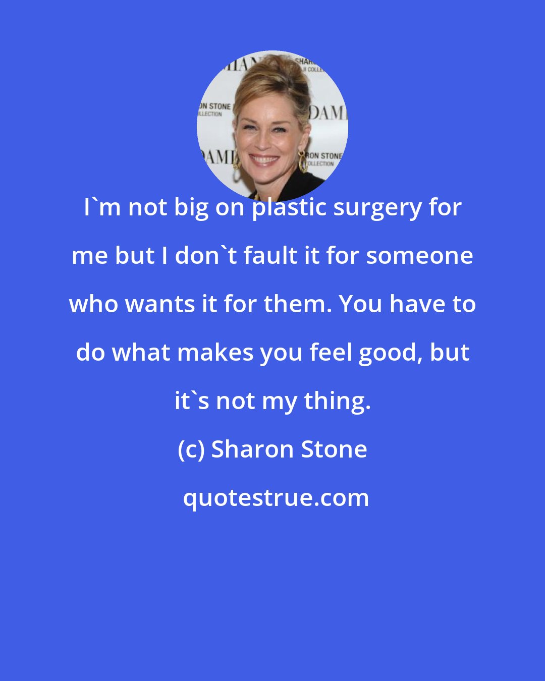 Sharon Stone: I'm not big on plastic surgery for me but I don't fault it for someone who wants it for them. You have to do what makes you feel good, but it's not my thing.