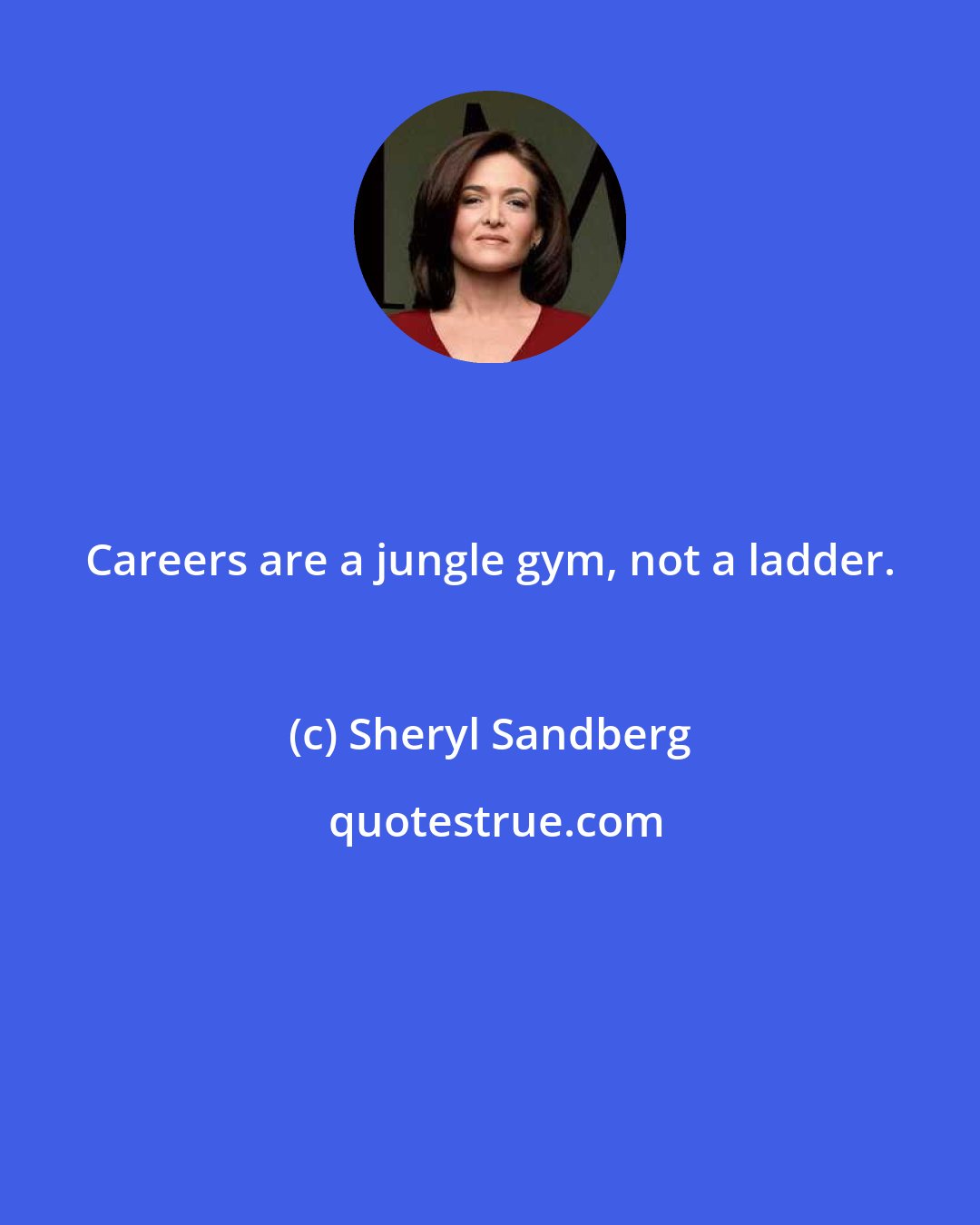 Sheryl Sandberg: Careers are a jungle gym, not a ladder.