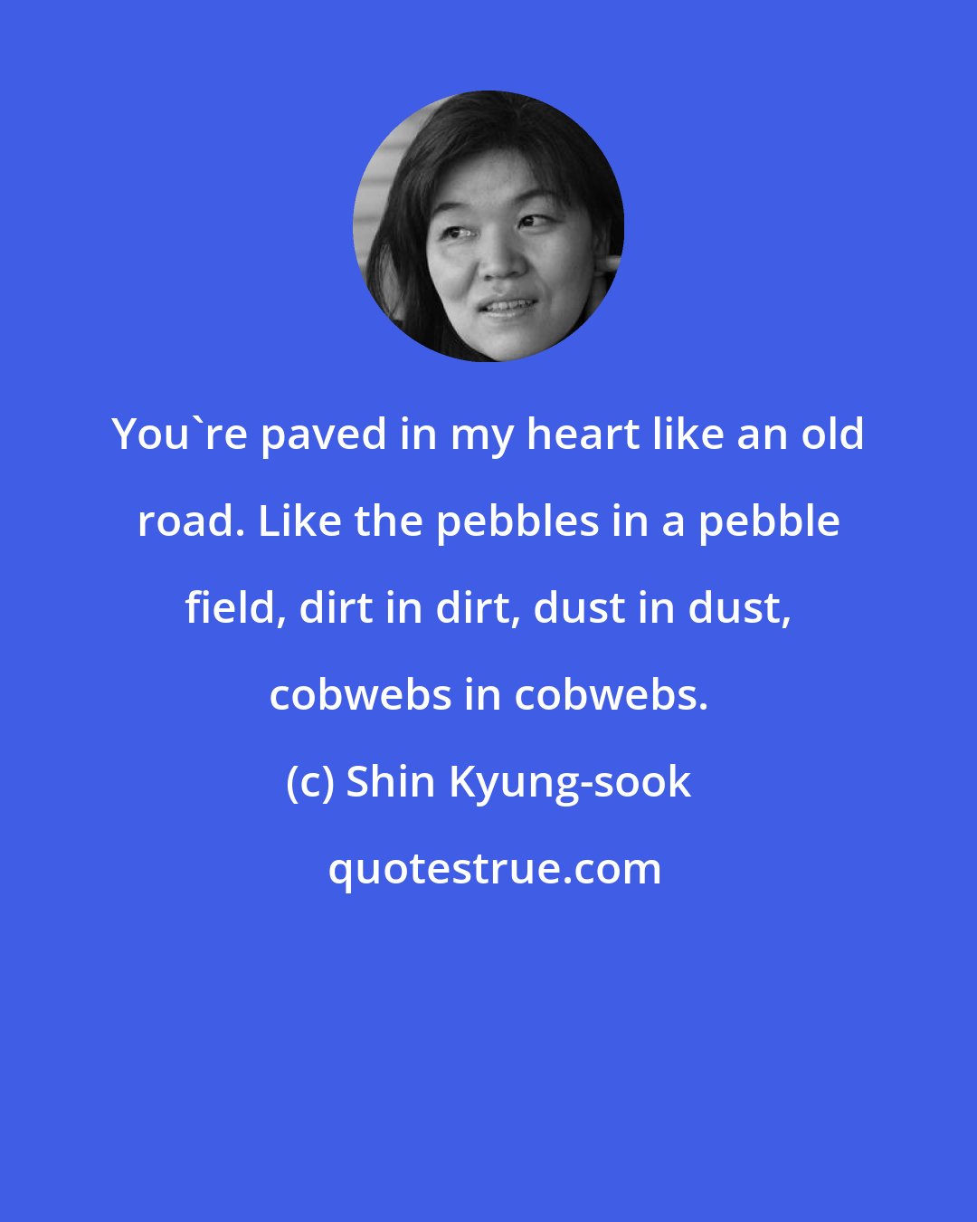 Shin Kyung-sook: You're paved in my heart like an old road. Like the pebbles in a pebble field, dirt in dirt, dust in dust, cobwebs in cobwebs.