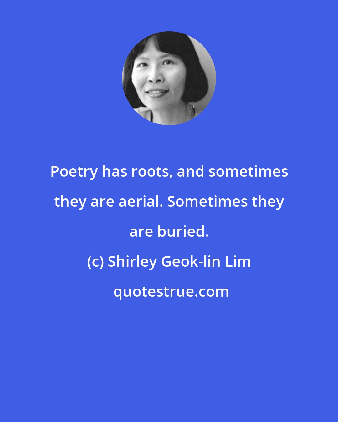 Shirley Geok-lin Lim: Poetry has roots, and sometimes they are aerial. Sometimes they are buried.