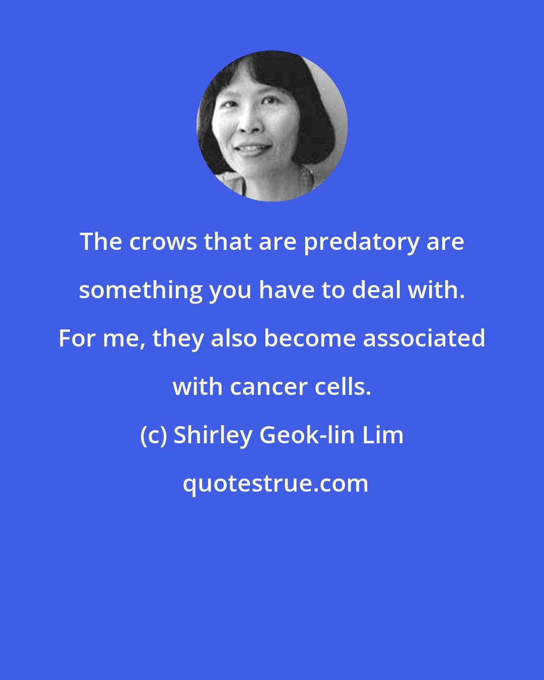 Shirley Geok-lin Lim: The crows that are predatory are something you have to deal with. For me, they also become associated with cancer cells.