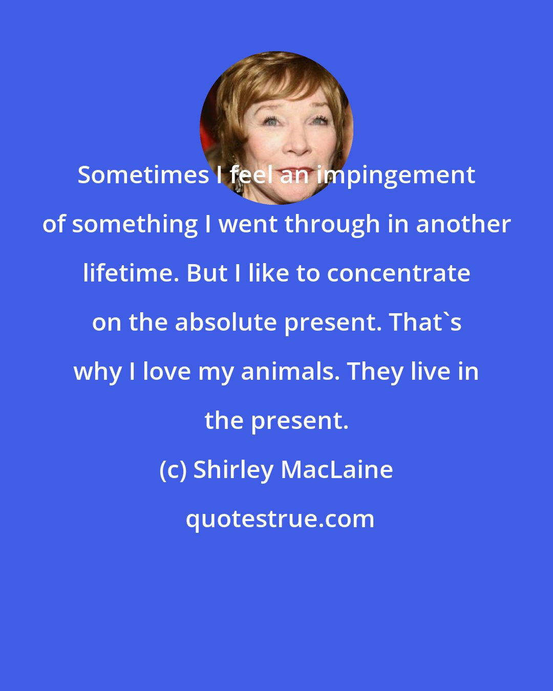 Shirley MacLaine: Sometimes I feel an impingement of something I went through in another lifetime. But I like to concentrate on the absolute present. That's why I love my animals. They live in the present.