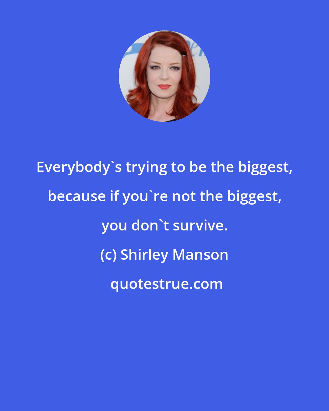 Shirley Manson: Everybody's trying to be the biggest, because if you're not the biggest, you don't survive.