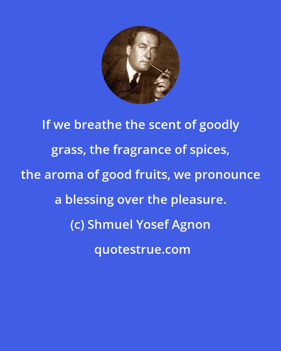 Shmuel Yosef Agnon: If we breathe the scent of goodly grass, the fragrance of spices, the aroma of good fruits, we pronounce a blessing over the pleasure.