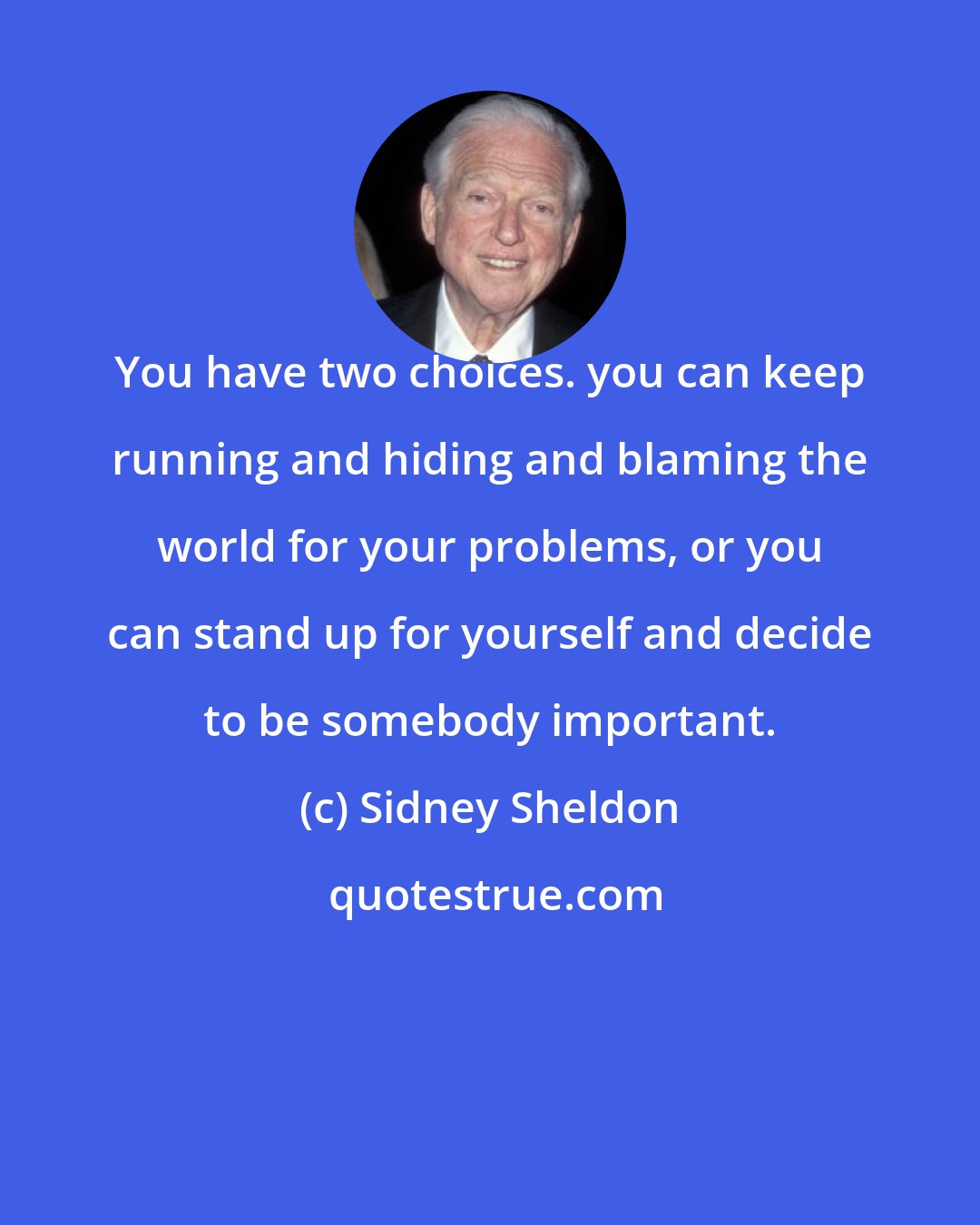 Sidney Sheldon: You have two choices. you can keep running and hiding and blaming the world for your problems, or you can stand up for yourself and decide to be somebody important.