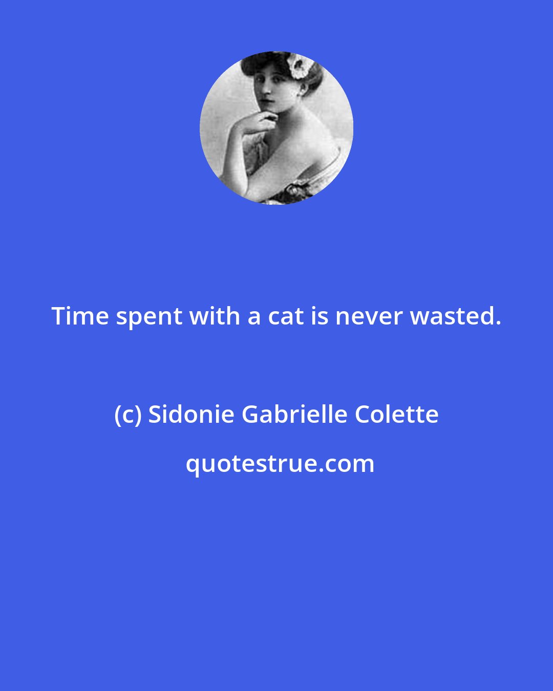 Sidonie Gabrielle Colette: Time spent with a cat is never wasted.