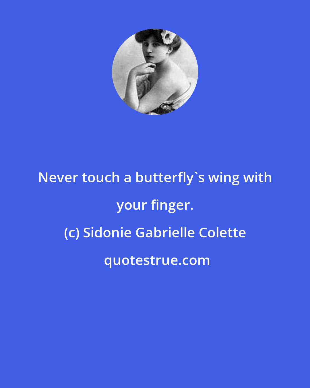 Sidonie Gabrielle Colette: Never touch a butterfly's wing with your finger.