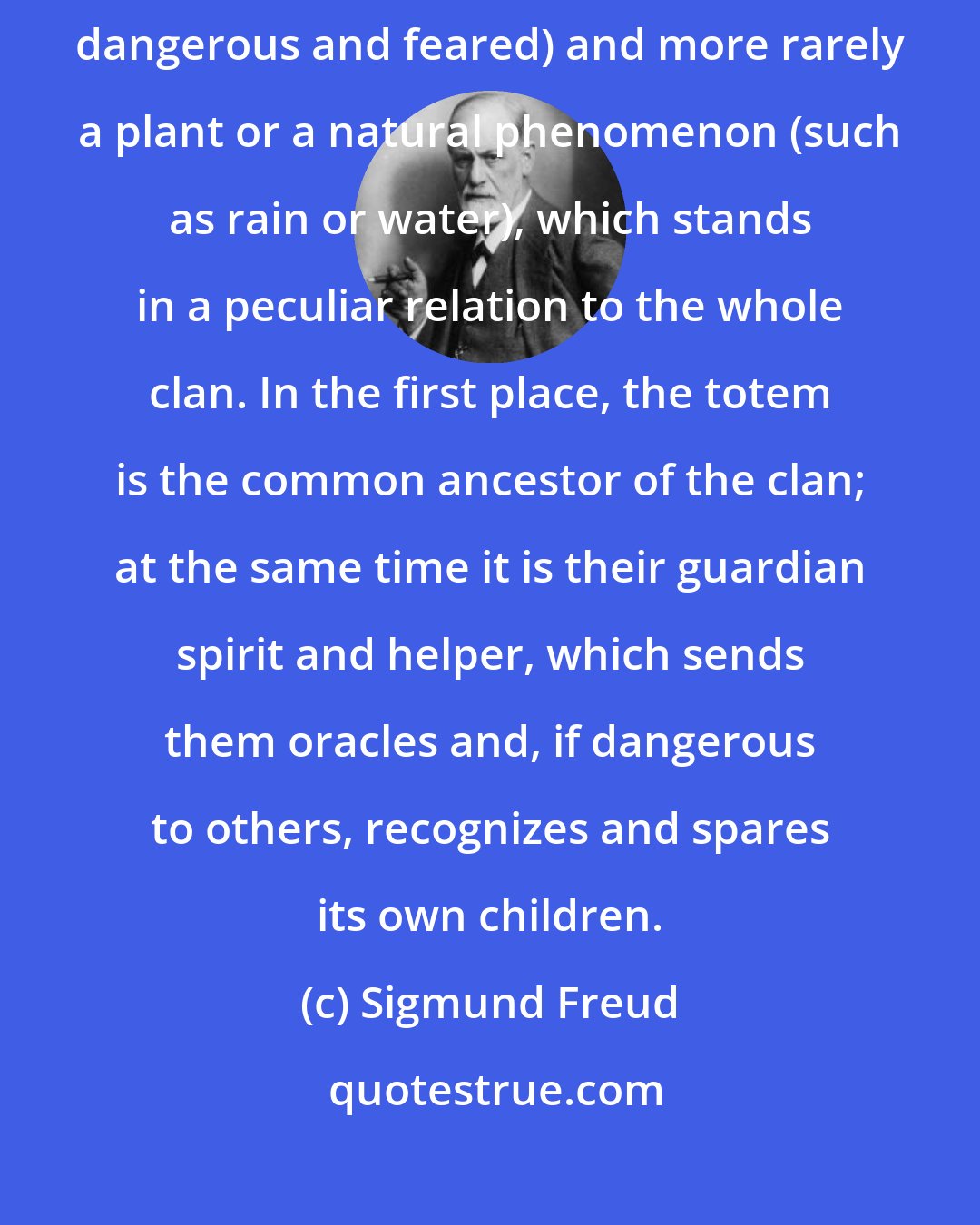 Sigmund Freud: What is a totem? It is as a rule an animal (whether edible and harmless or dangerous and feared) and more rarely a plant or a natural phenomenon (such as rain or water), which stands in a peculiar relation to the whole clan. In the first place, the totem is the common ancestor of the clan; at the same time it is their guardian spirit and helper, which sends them oracles and, if dangerous to others, recognizes and spares its own children.