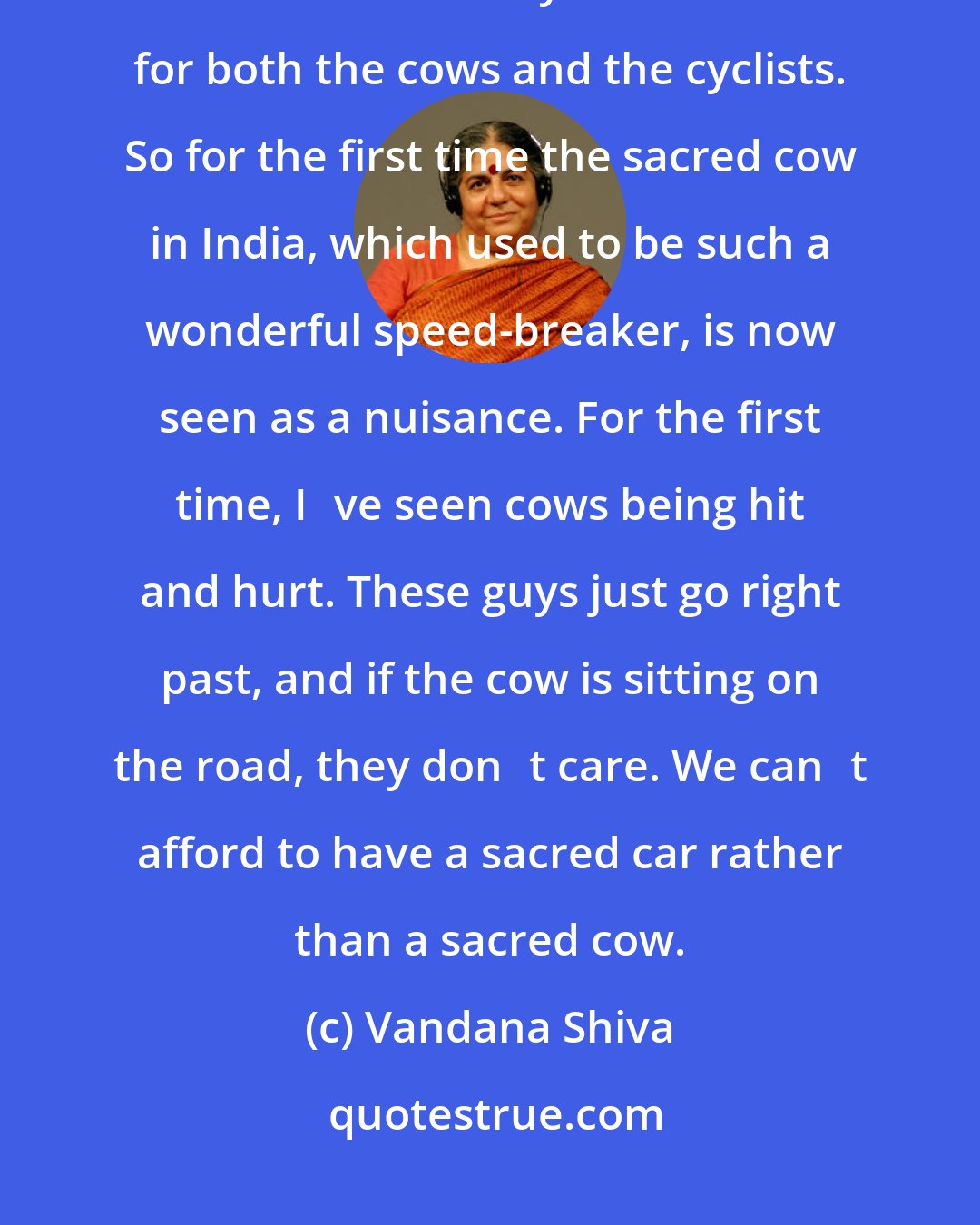 Vandana Shiva: Because of these new car models there is suddenly on the streets of Delhi a new intolerance by the motorists for both the cows and the cyclists. So for the first time the sacred cow in India, which used to be such a wonderful speed-breaker, is now seen as a nuisance. For the first time, Ive seen cows being hit and hurt. These guys just go right past, and if the cow is sitting on the road, they dont care. We cant afford to have a sacred car rather than a sacred cow.